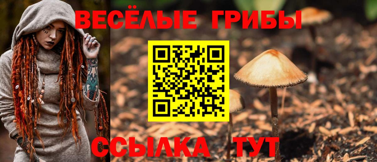 Псилоцибиновые грибы GOLDEN TEACHER  Вход с VPN  Сыктывкар  Галлюциногенные грибы GOLDEN TEACHER 