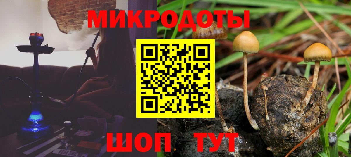 Псилоцибиновые грибы GOLDEN TEACHER Сыктывкар